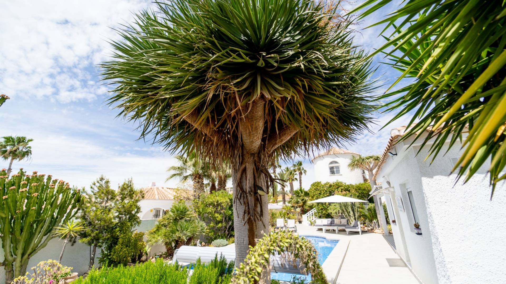 z drugiej ręki - Wolnostojąca willa - Torrevieja - La Siesta - El Salado - Torreta