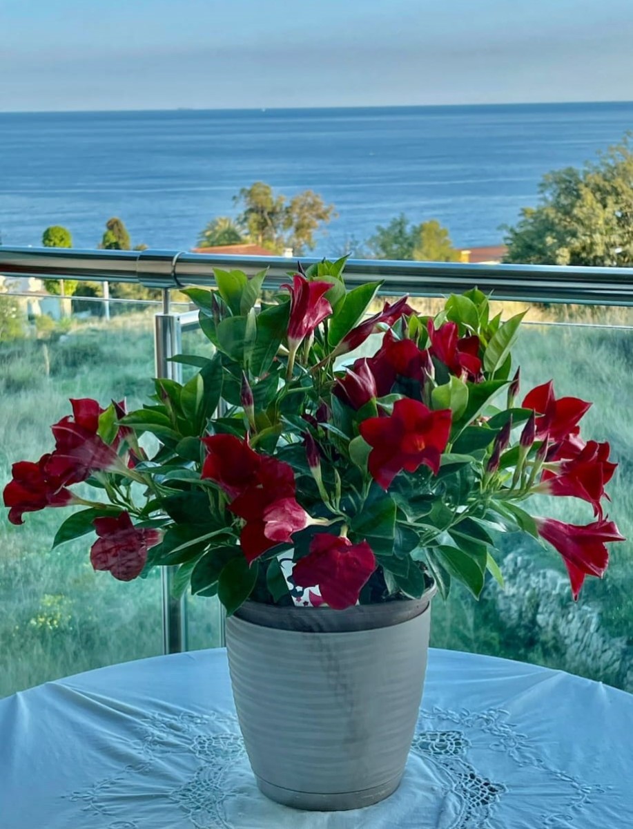 Apartment - Flat на продажа в Calpe