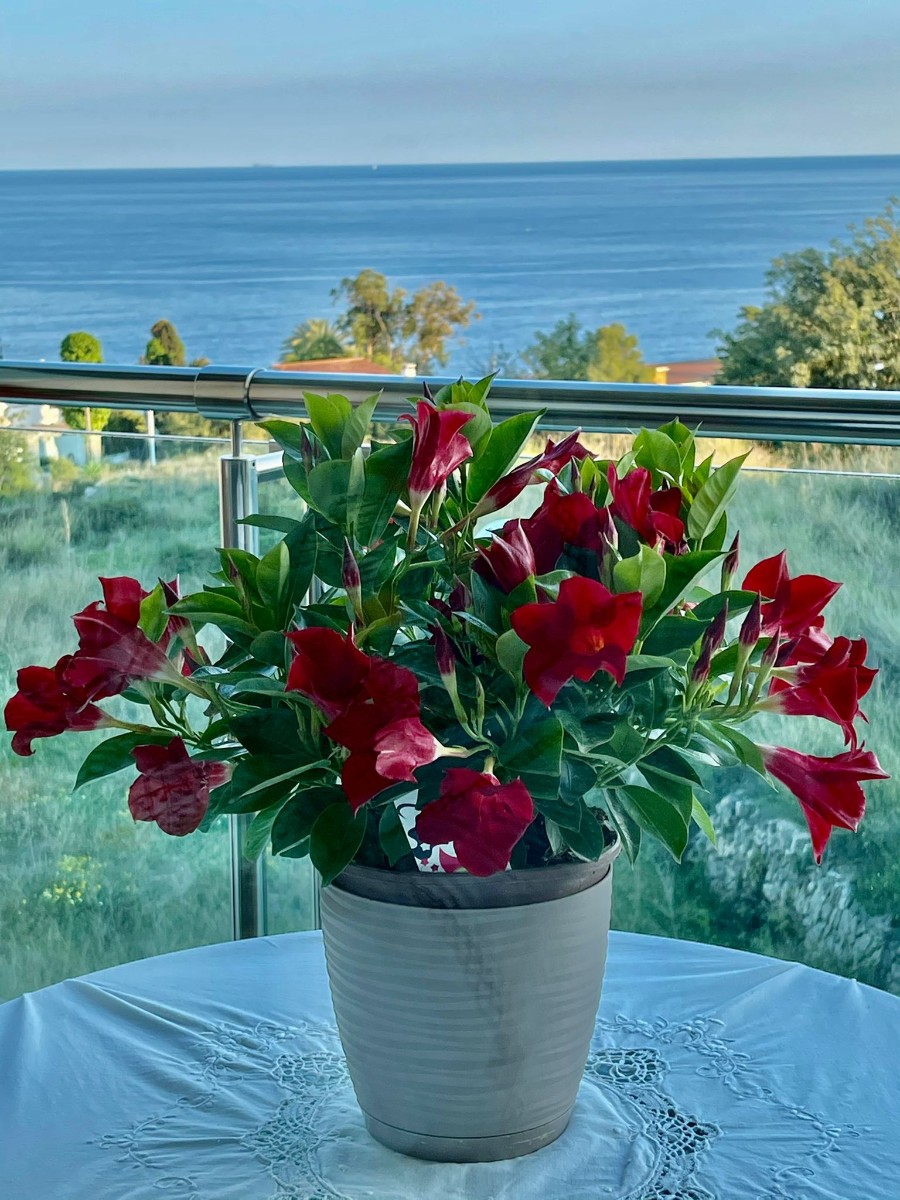 Apartment - Flat на продажа в Calpe