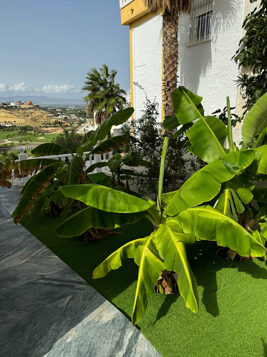 DRO-SM-0073 — Ciudad Quesada - Rojales bild 6