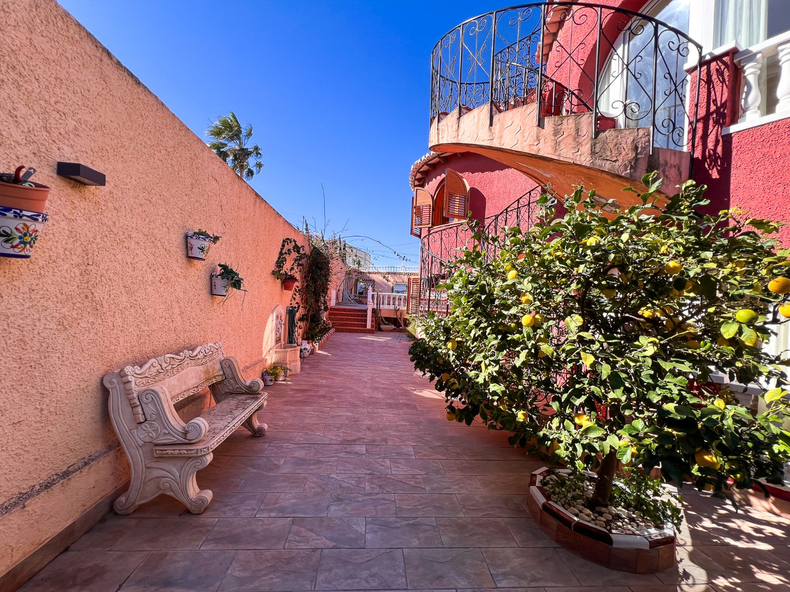 DTO-SM-1219 — Torrevieja bild 13