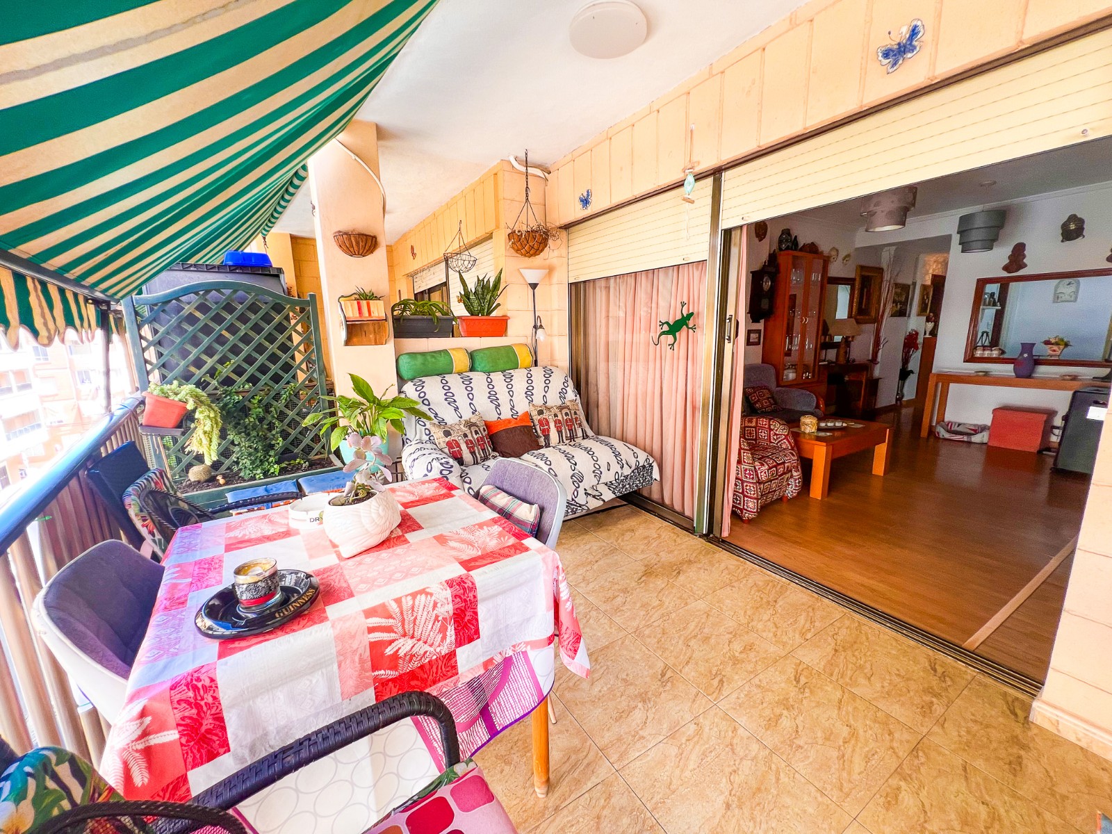 DGM-SM-1117 — Guardamar del Segura bild 8