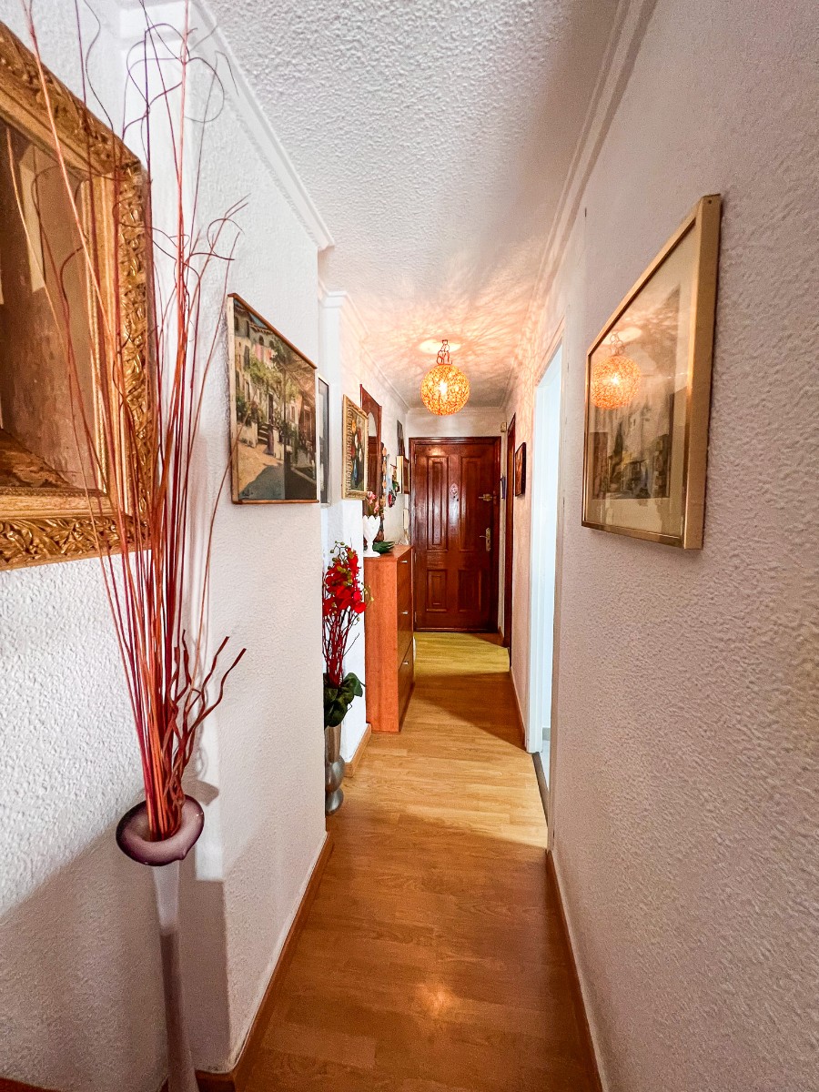 DGM-SM-1117 — Guardamar del Segura bild 10