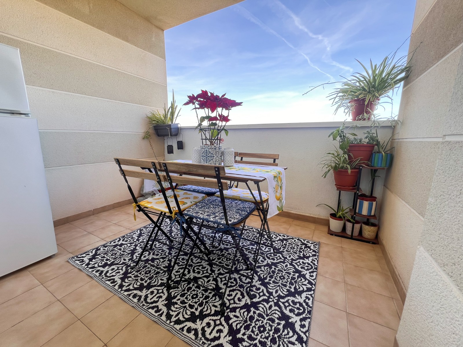 DAM-SM-1001 — Almoradi bild 12