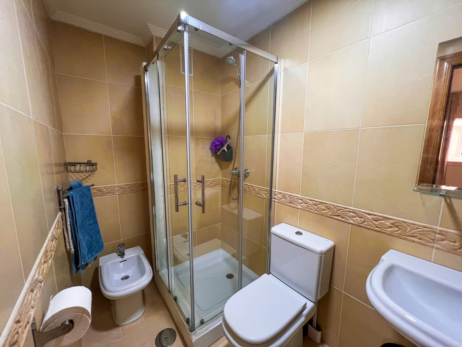 DAM-SM-1001 — Almoradi bild 17