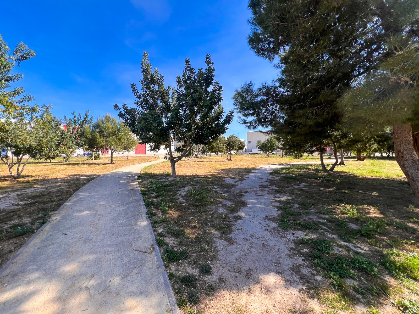 DAM-SM-1001 — Almoradi bild 28