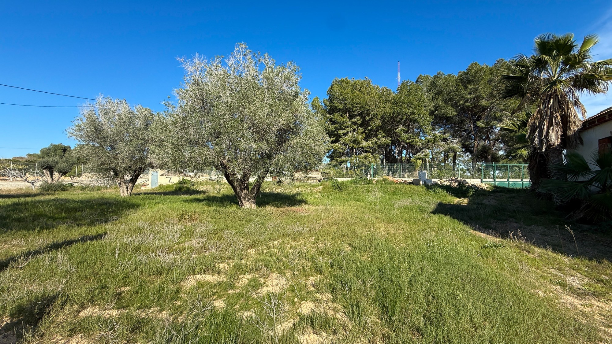 DGM-SM-1119 — Guardamar del Segura bild 19
