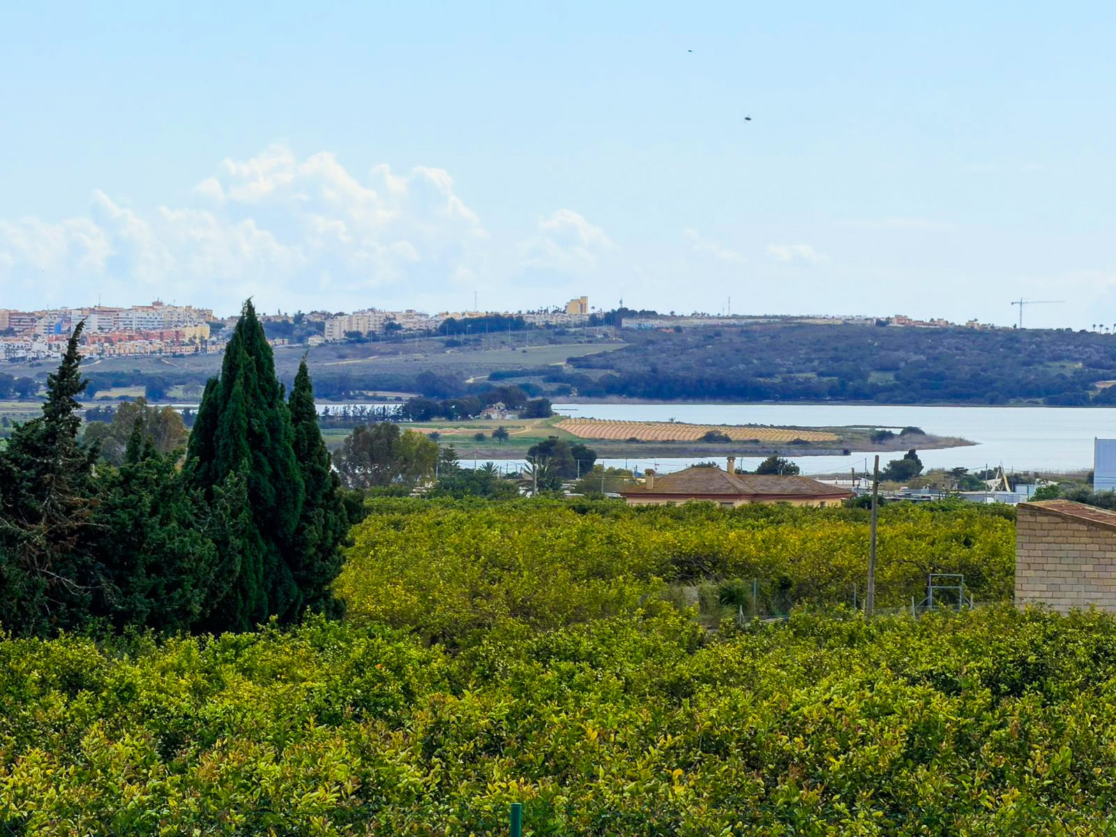 DGM-SM-1119 — Guardamar del Segura bild 18