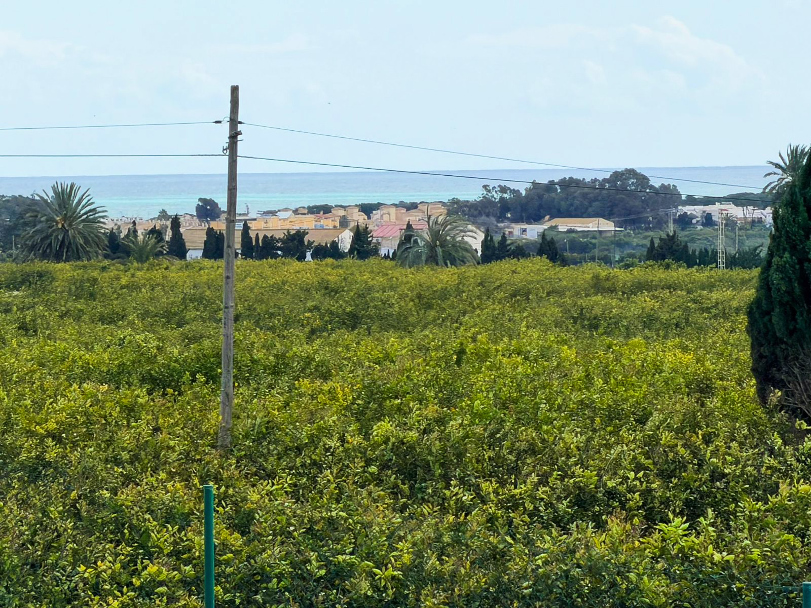 DGM-SM-1119 — Guardamar del Segura bild 16