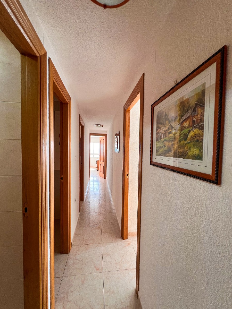 DTO-SM-1230 — Torrevieja bild 18